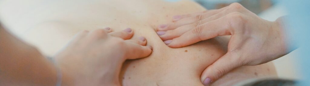 hblf2nvp yc e1769523573766