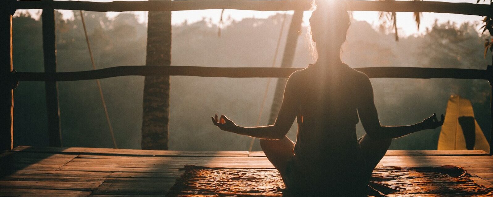 10 méthodes et thérapies holistiques pour la réduction du stress 2 woman in black tank top sitting on brown wooden dock during daytime